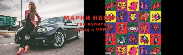 эйфоретик Баксан