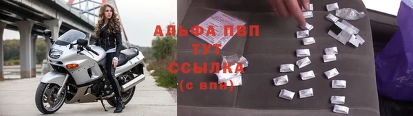 стаф Беломорск